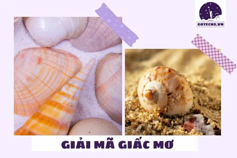 Những Tình Huống Thường Gặp Khi Nằm Mơ Thấy Ốc