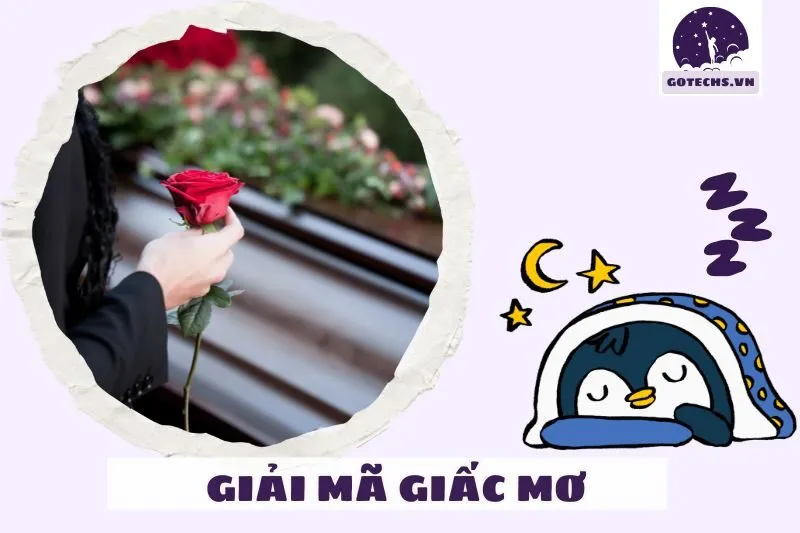 Những trường hợp phổ biến khi nằm mơ thấy đám ma và ý nghĩa của từng trường hợp