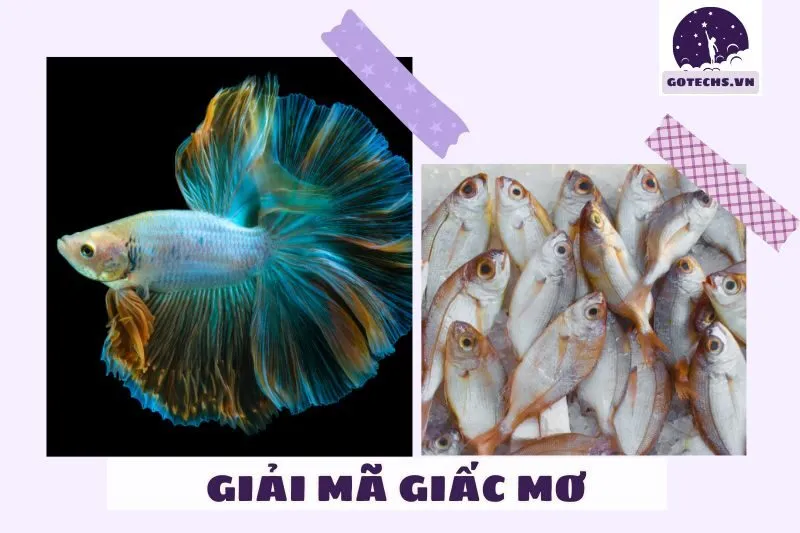 Những yếu tố ảnh hưởng đến ý nghĩa của giấc mơ về cá