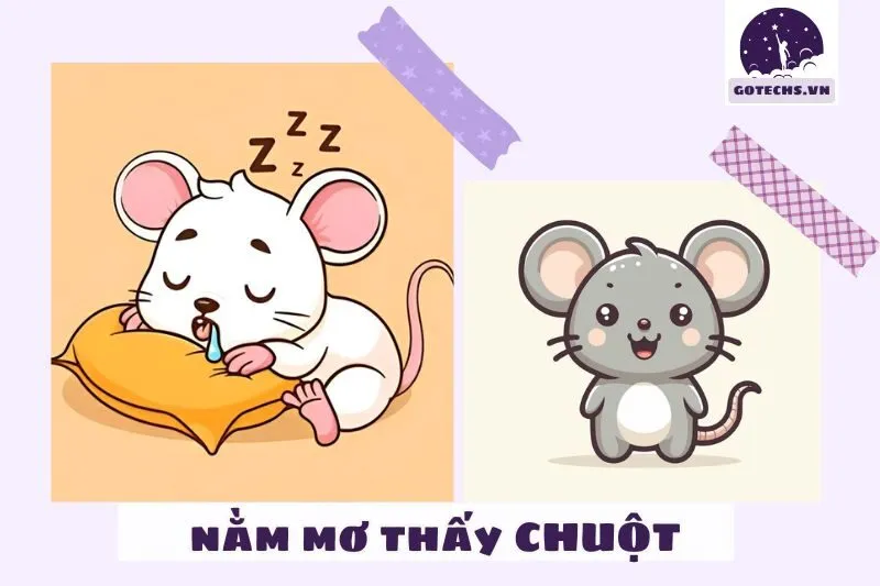 Phân Tích Các Loại Chuột Xuất Hiện Trong Giấc Mơ Và Ý Nghĩa Của Chúng