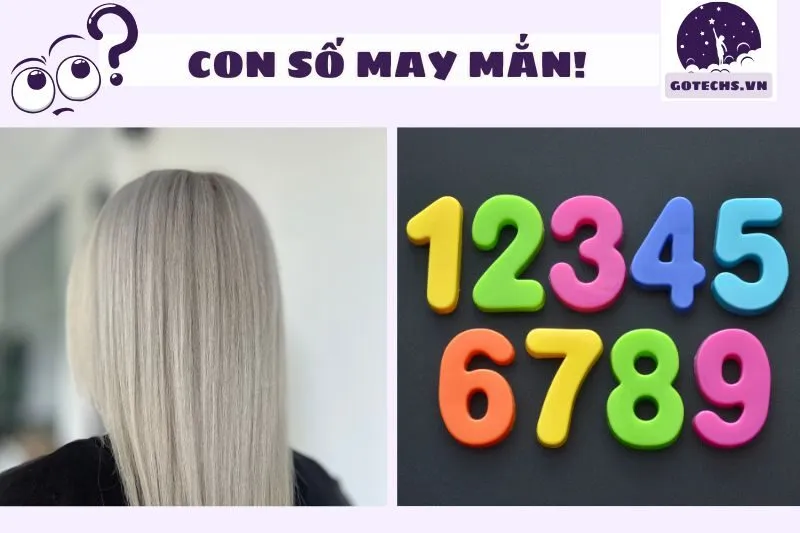 Phong thủy và con số may mắn