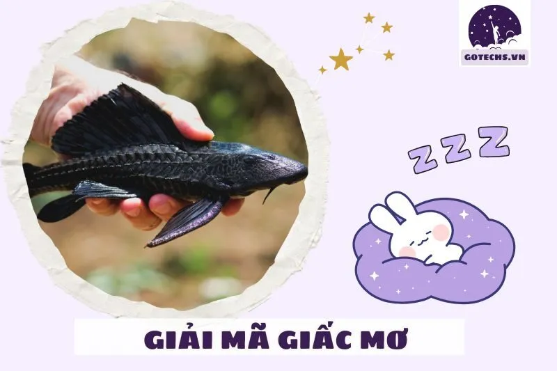 Tác động tâm lý và biểu tượng của cá đen trong giấc mơ