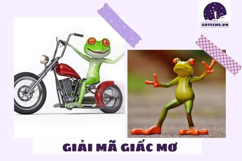 Tại sao lại nằm mơ thấy ếch