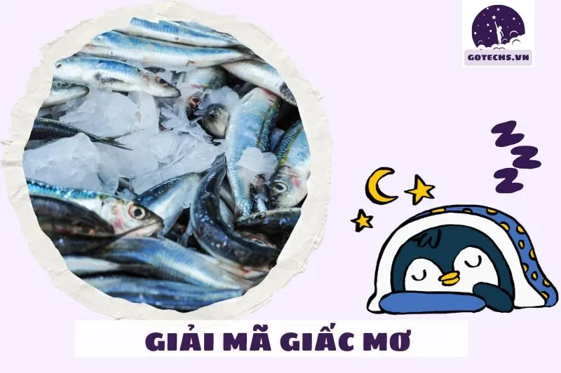 Từng Trường Hợp Mơ Thấy Cá Trắng Và Ý Nghĩa Cụ Thể