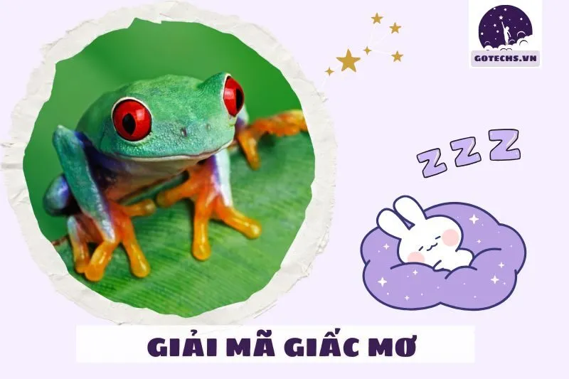 Ý nghĩa các điềm báo khác liên quan