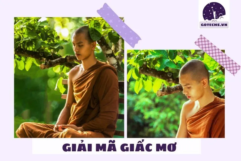 Ý Nghĩa Của Các Chi Tiết Khác Khi Mơ Thấy Sư Tử