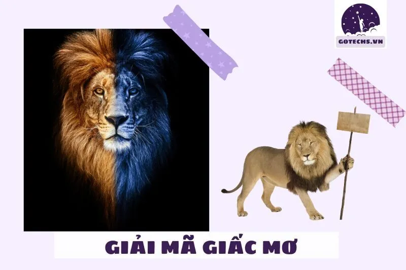 Ý Nghĩa Của Các Chi Tiết Khác Khi Mơ Thấy Sư Tử