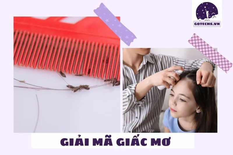 Ý nghĩa của giấc mơ nằm mơ thấy con chấy