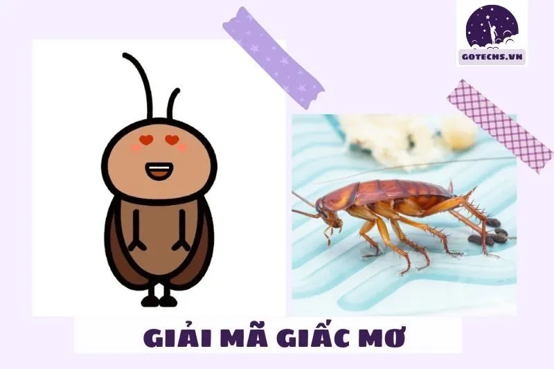 Ý nghĩa của giấc mơ thấy gián