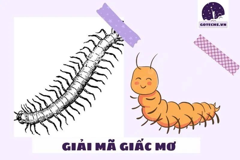 Ý Nghĩa Của Giấc Mơ Thấy Rết - Điềm Gì?