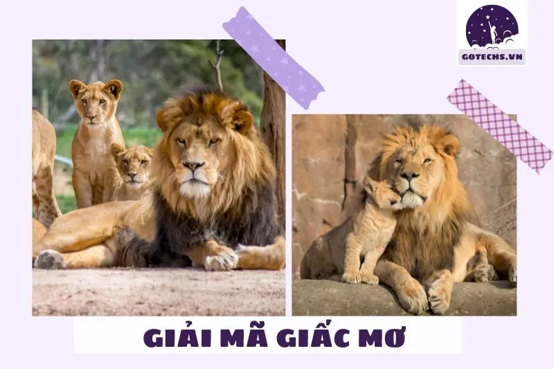 Ý Nghĩa Của Giấc Mơ Thấy Sư Tử