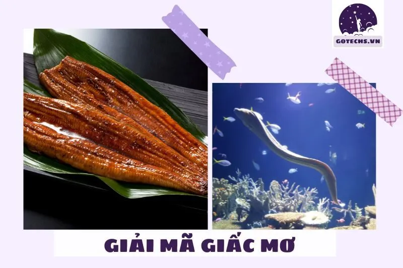 Ý nghĩa của nằm mơ thấy lươn