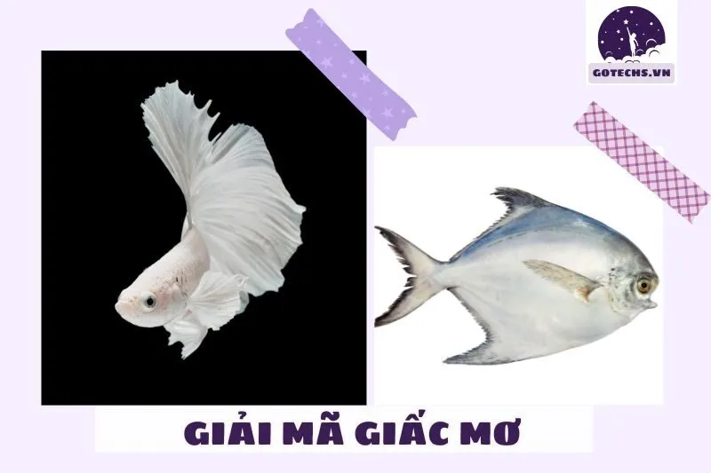 Ý Nghĩa Của Việc Nằm Mơ Thấy Cá Trắng