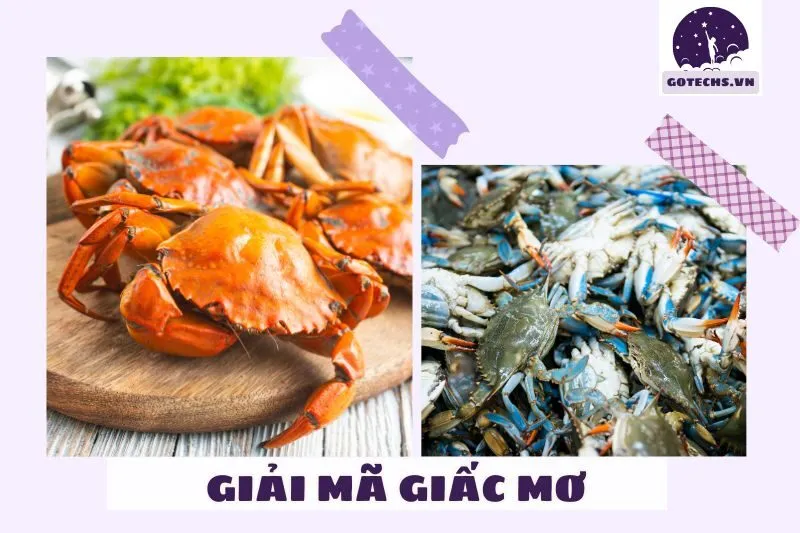 Ý nghĩa của việc nằm mơ thấy cua