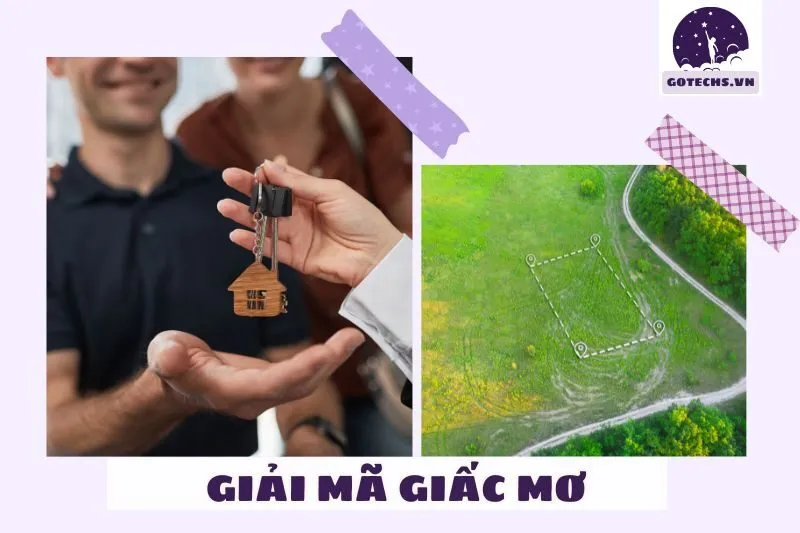 Ý nghĩa của việc nằm mơ thấy mua đất