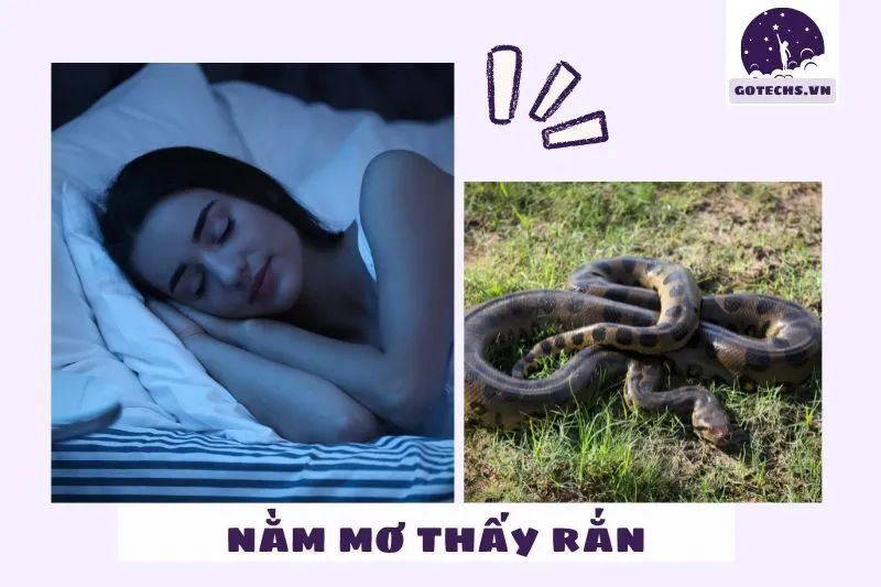 Ý nghĩa của việc nằm mơ thấy rắn trong cuộc sống