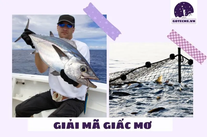 Ý nghĩa giấc mơ nằm mơ thấy bắt cá