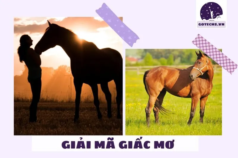 Ý nghĩa giấc mơ thấy ngựa theo từng tình huống