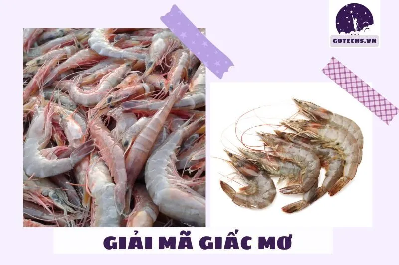 Ý nghĩa giấc mơ thấy tôm – Dự báo tốt hay xấu?