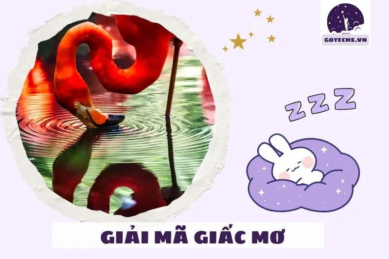 Cách biến giấc mơ thấy chim hạc thành điều tích cực