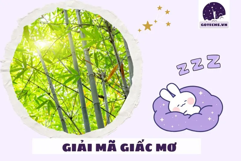 Cách kiểm soát và hiểu rõ nằm mơ thấy về quê