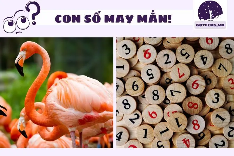 Mơ thấy chim hạc và con số may mắn