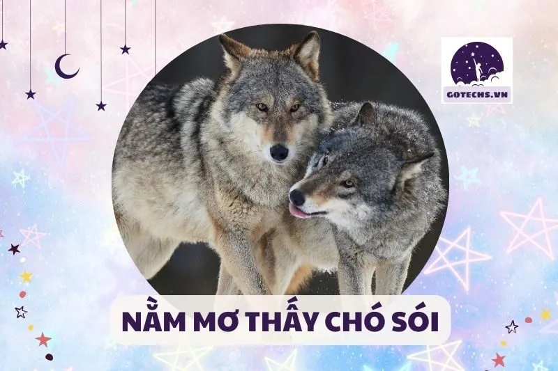 NẰM MƠ THẤY CHÓ SÓI