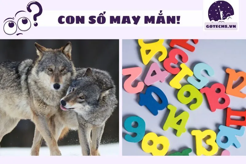 Nằm Mơ Thấy Chó Sói Đánh Con Gì?