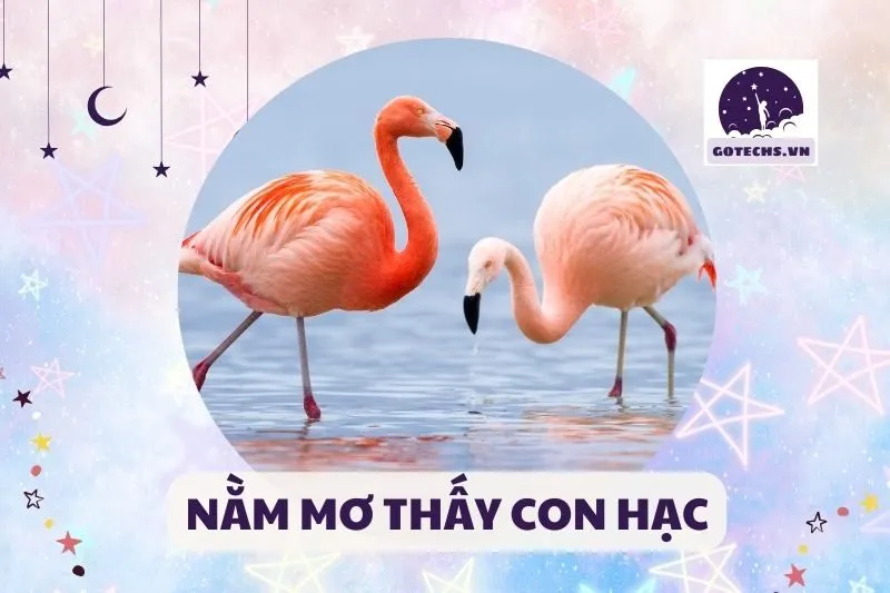 NẰM MƠ THẤY CON HẠC