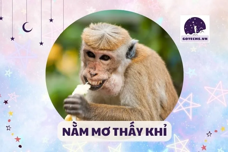 NẰM MƠ THẤY KHỈ