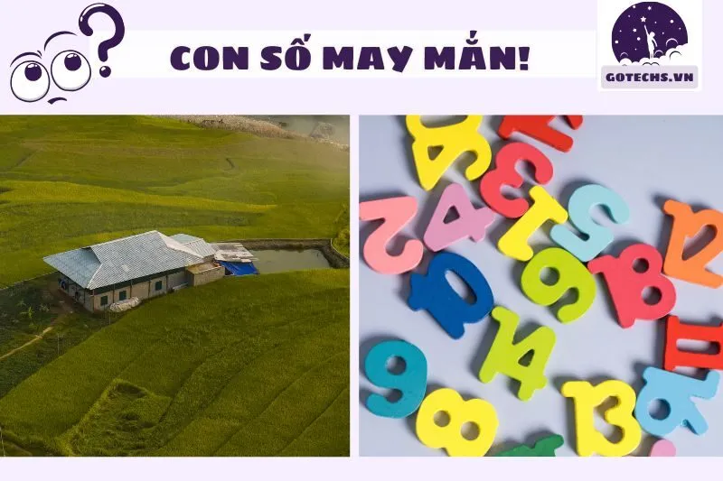 Những con số may mắn khi nằm mơ về quê