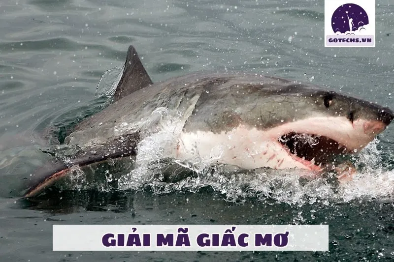 Các tình huống phổ biến khác