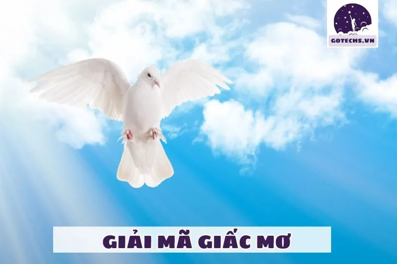 Những tình huống phổ biến khác