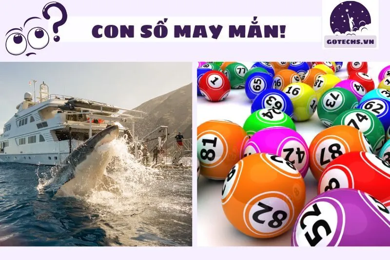 Con số may mắn khi nằm mơ thấy cá mập