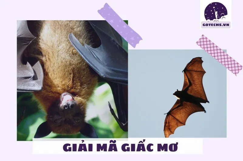 Giải Mã Các Trường Hợp Cụ Thể Và Ý Nghĩa