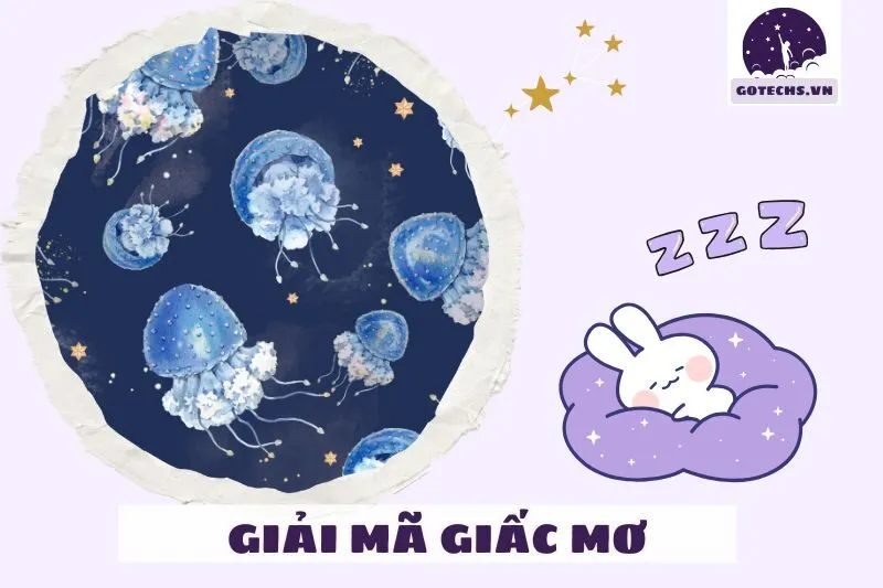 Giải Mã Tâm Lý Và Thực Tế