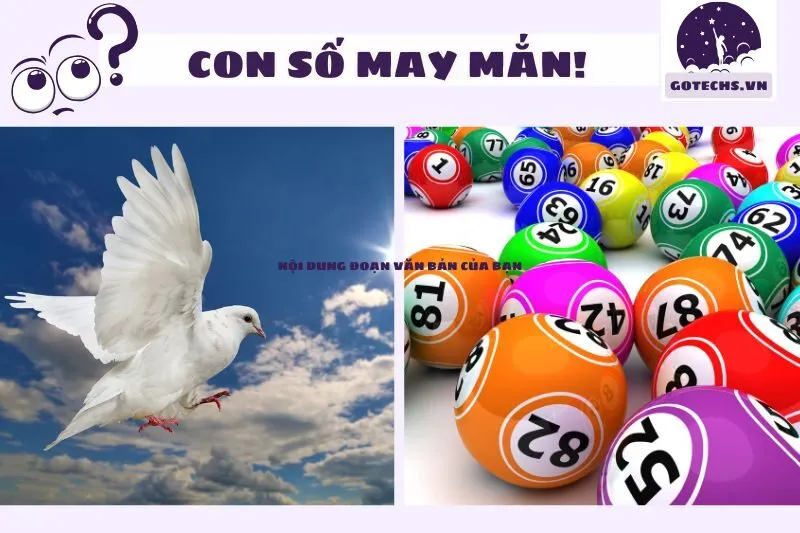 Mơ thấy bồ câu và con số may mắn