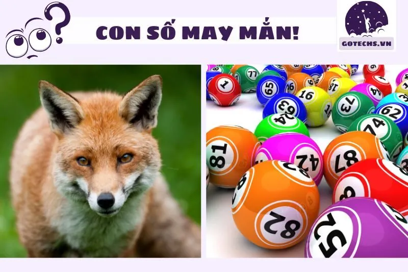 Mơ thấy cáo và các con số may mắn