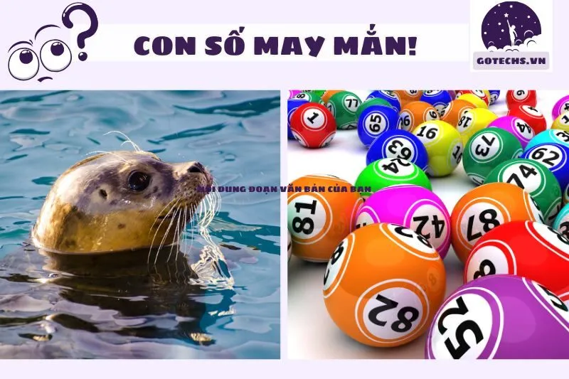 Mơ thấy hải cẩu và con số tài lộc