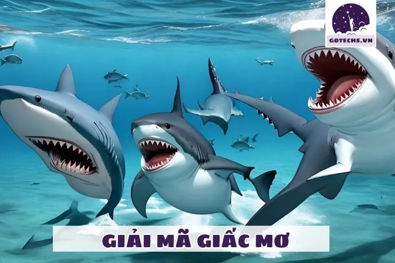 Mối liên hệ giữa giấc mơ cá mập và cuộc sống