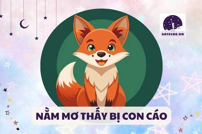 NẰM MƠ THẤY BỊ CON CÁO