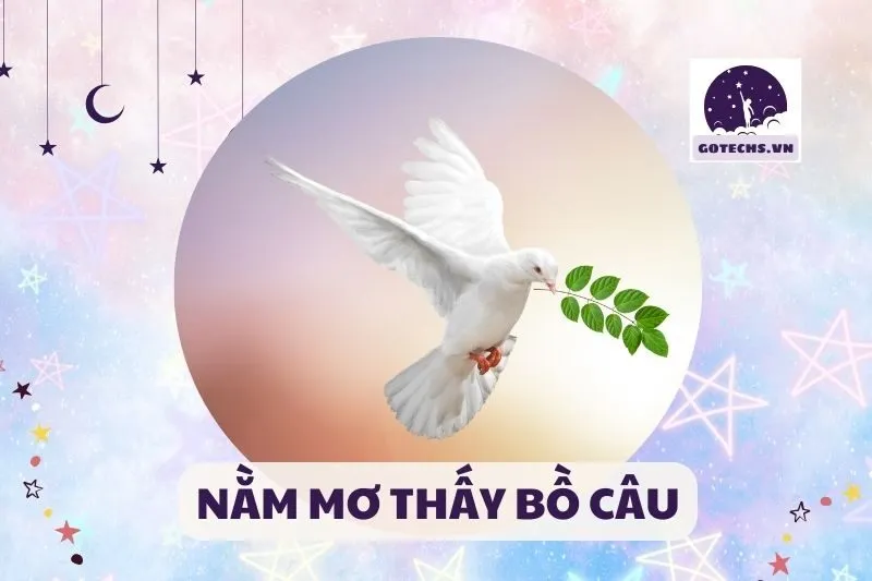 NẰM MƠ THẤY BỒ CÂU