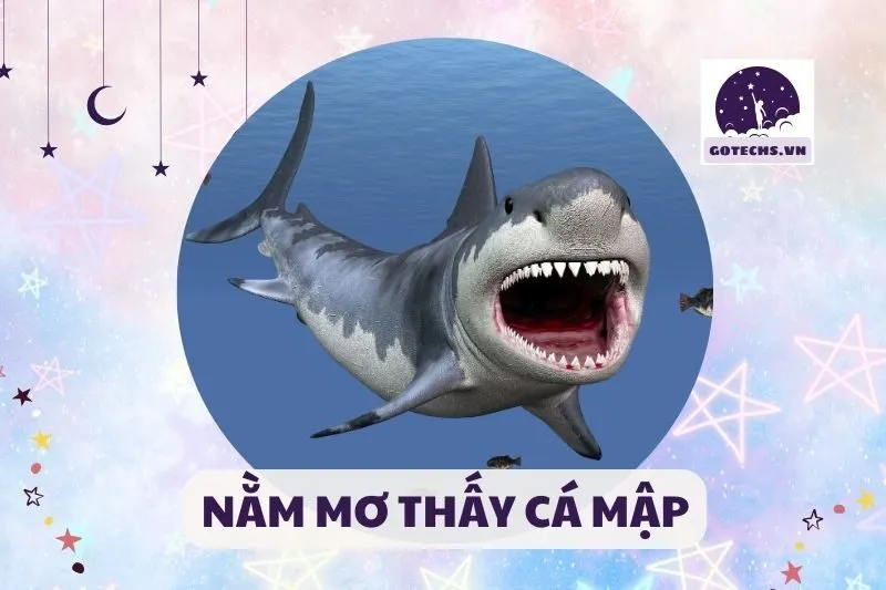 NẰM MƠ THẤY CÁ MẬP