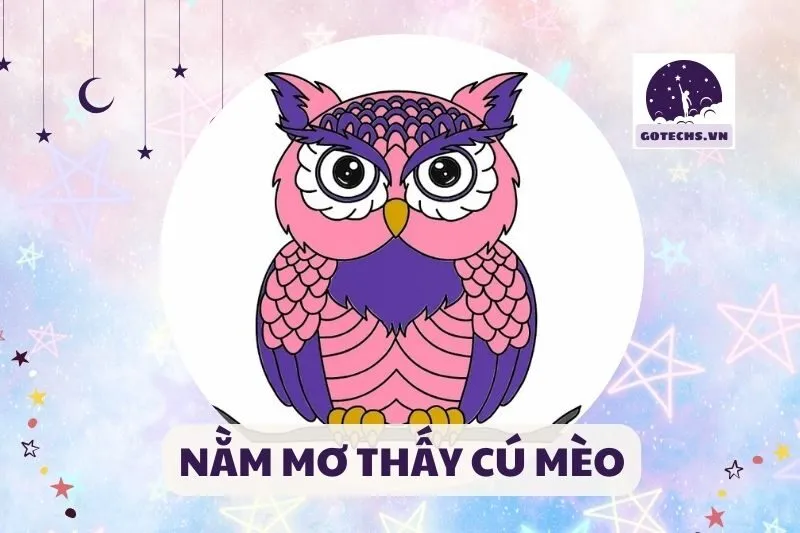 NẰM MƠ THẤY CÚ MÈO