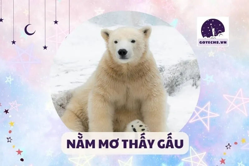 NẰM MƠ THẤY GẤU