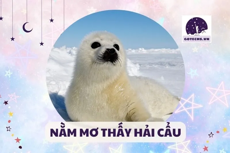 NẰM MƠ THẤY HẢI CẨU