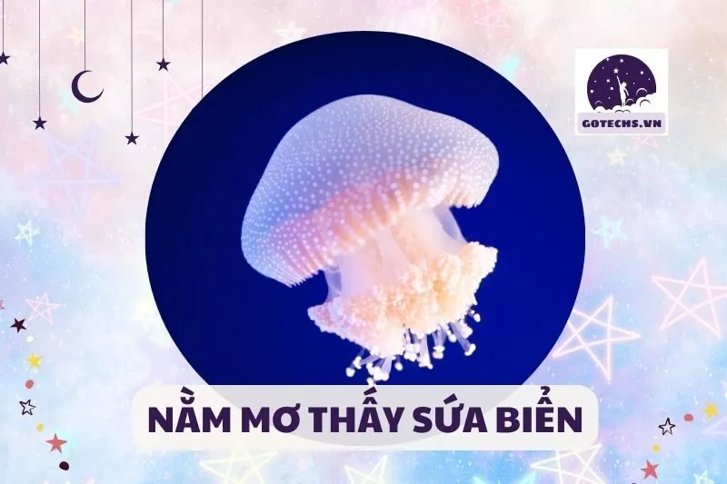 NẰM MƠ THẤY SỨA BIỂN