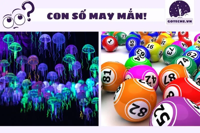 Những Con Số May Mắn Liên Quan