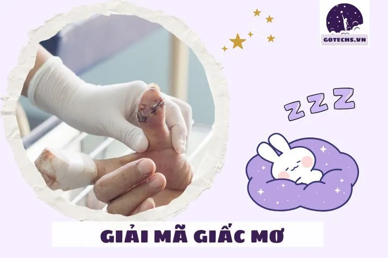 Sự Liên Quan Đến Cuộc Sống Hiện Tại