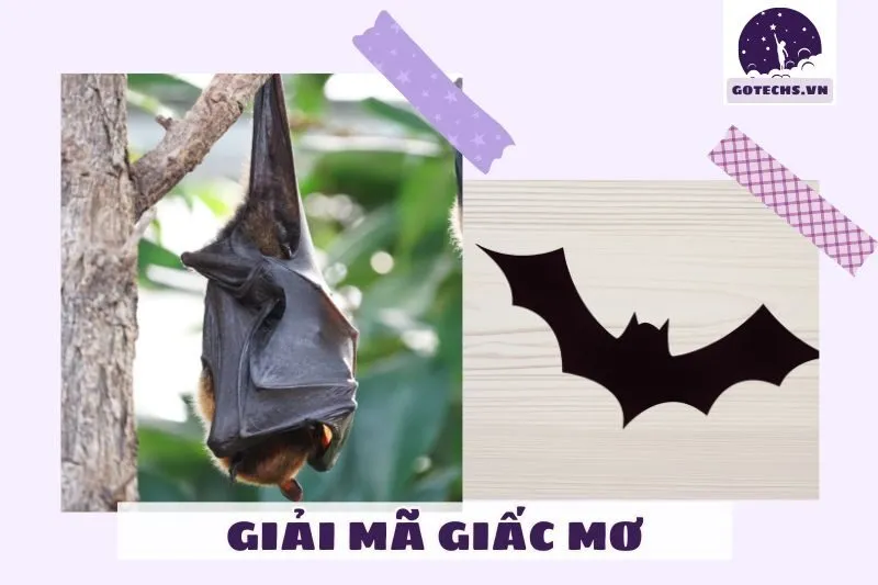 Ý Nghĩa Của Nằm Mơ Thấy Con Dơi